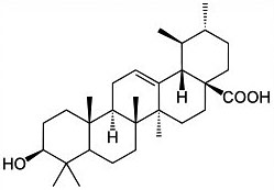 1586311764842092535.jpg